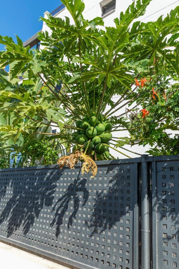 Medano4You The Strelitzia Terrace El Medano  Exterior photo
